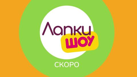 Лапки Live - Новые выпуски Лапки Шоу